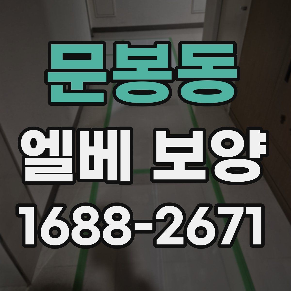 문봉동 엘베 보양 사진으로 시공 상태를 설명하는 방법