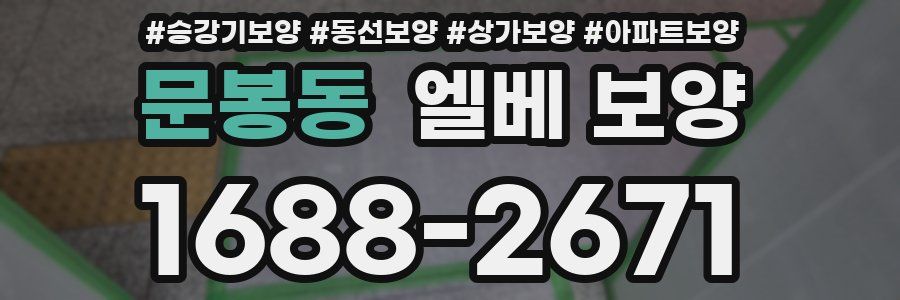 문봉동 엘베 보양
