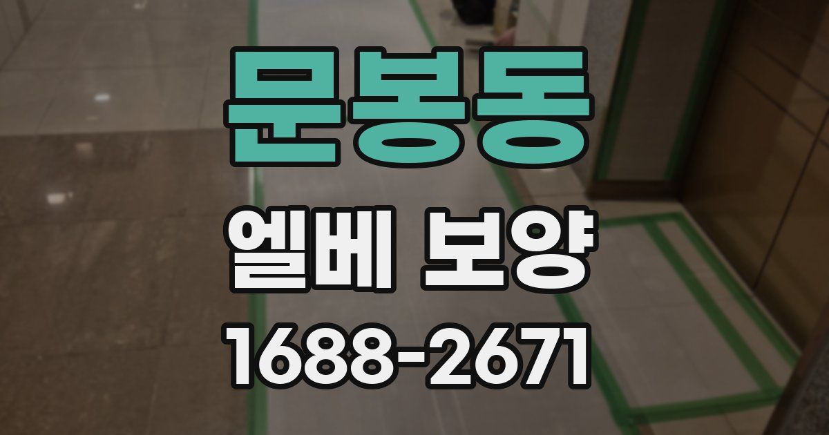 문봉동 엘베 보양