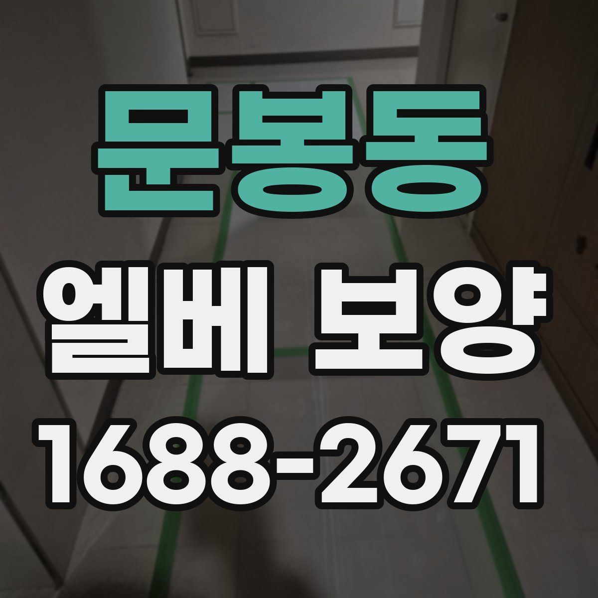 문봉동 엘베 보양