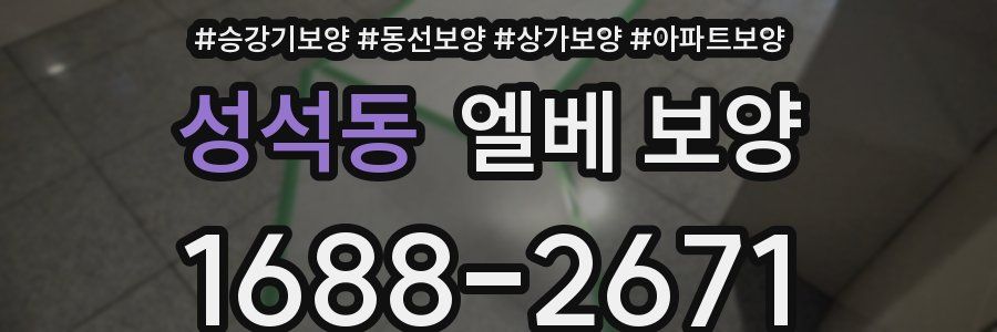 성석동 엘베 보양