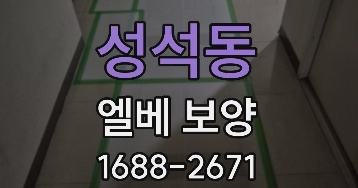 성석동 엘베 보양