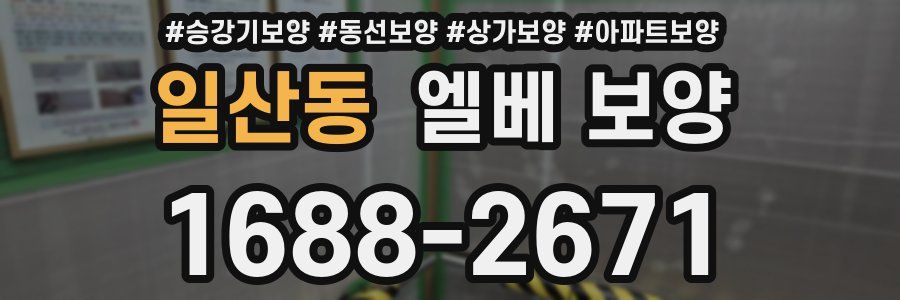 일산동 엘베 보양