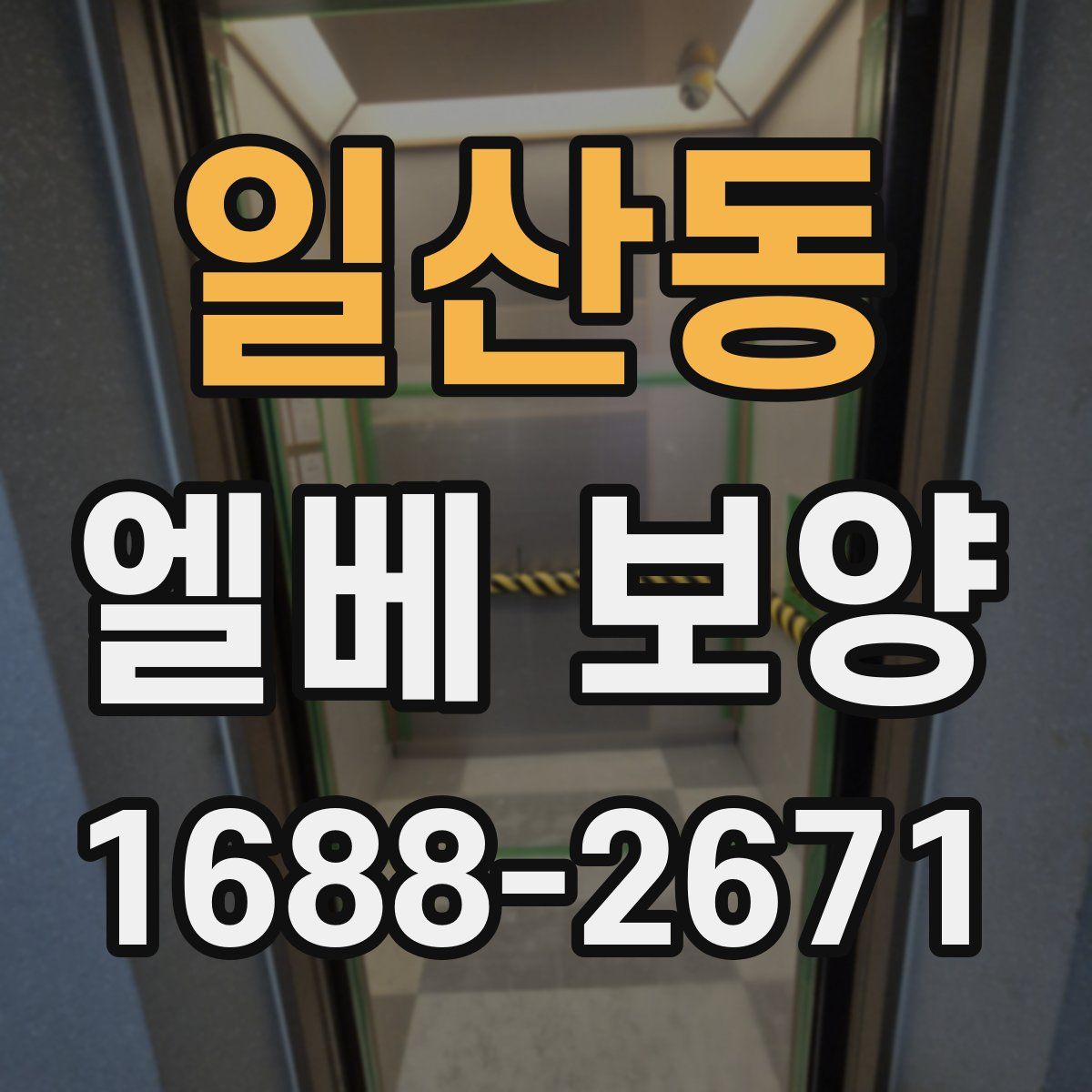 일산동 엘베 보양