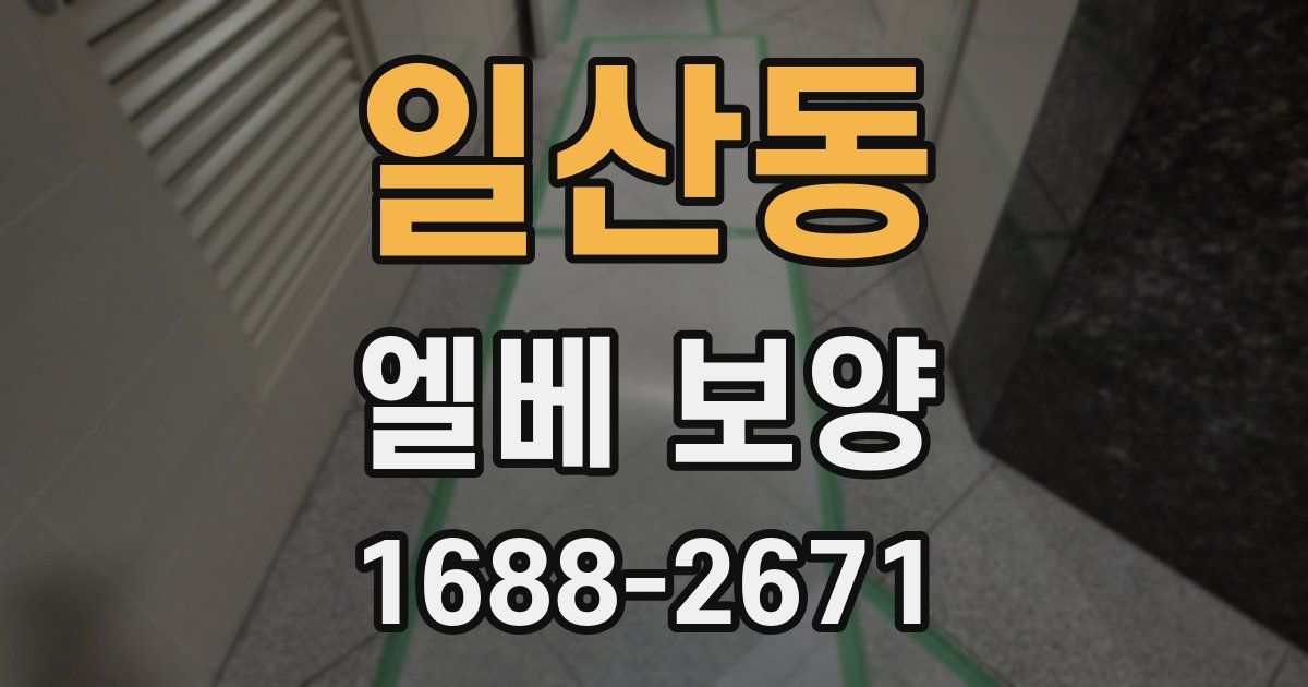 일산동 엘베 보양