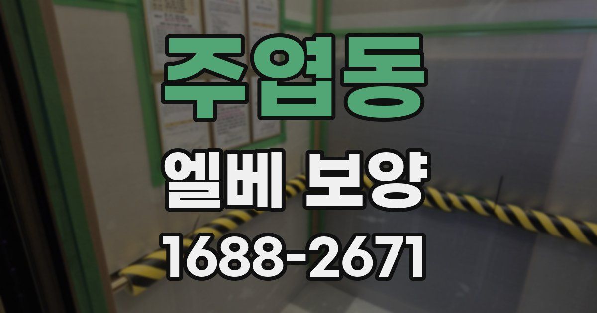 주엽동 엘베 보양