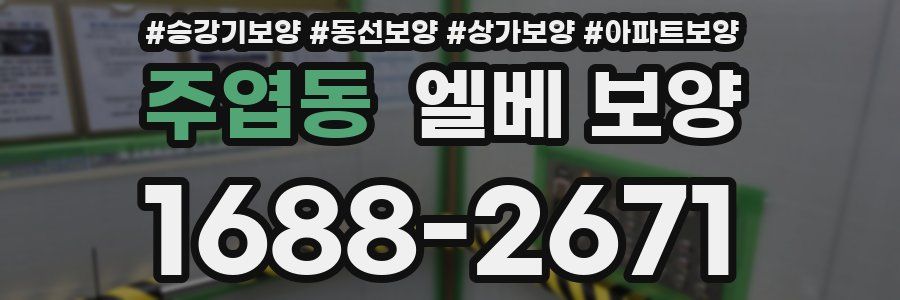 주엽동 엘베 보양