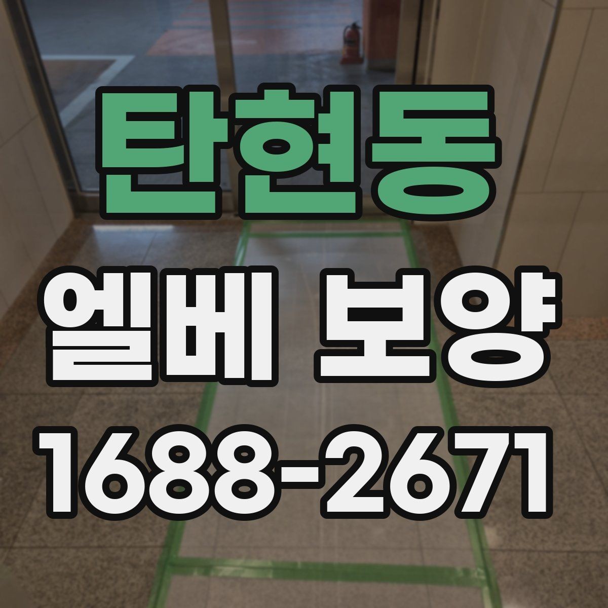 탄현동 엘베 보양 철거 없이 깔끔하게 마감하는 실무 포인트