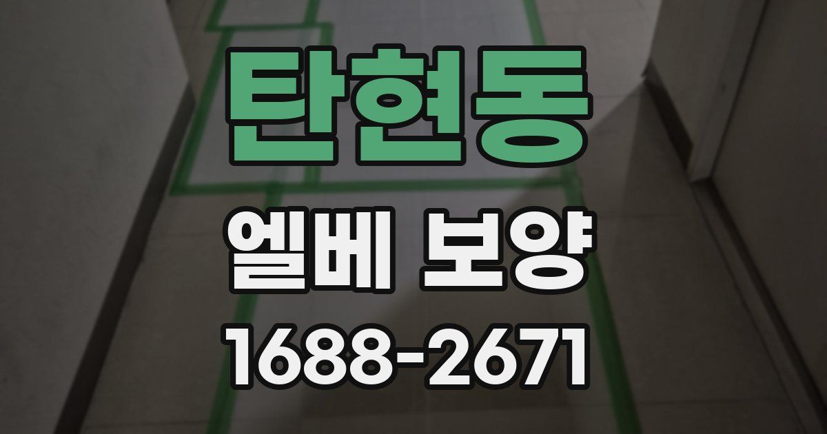 탄현동 엘베 보양