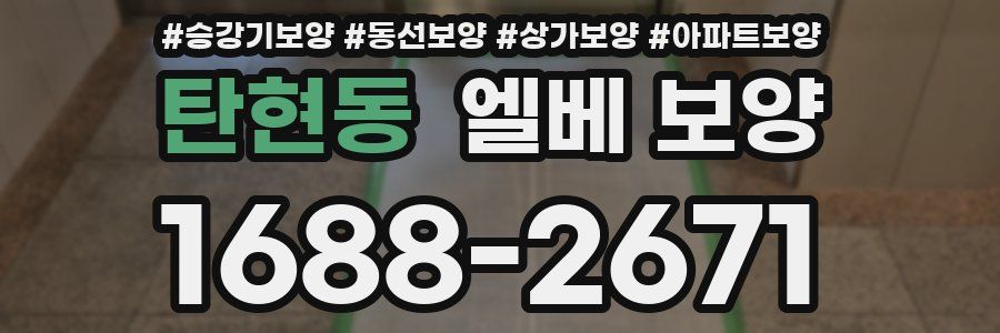 탄현동 엘베 보양