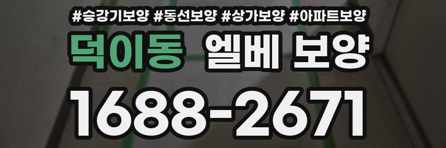 덕이동 엘베 보양