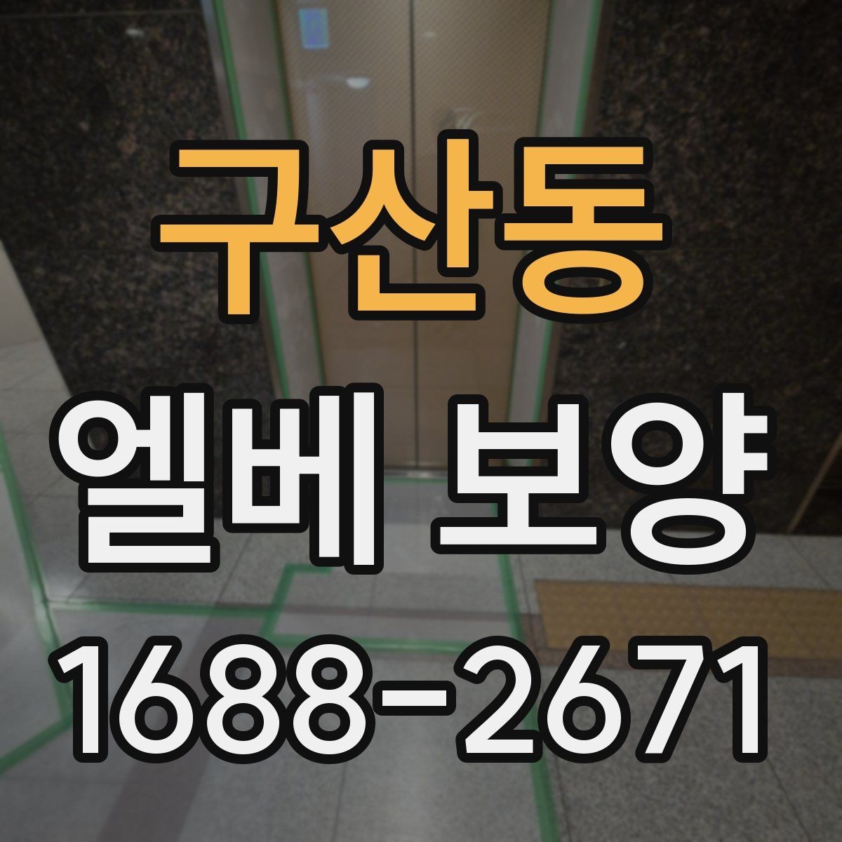 구산동 엘베 보양 현장마다 달라지는 자재 배치와 보호 순서
