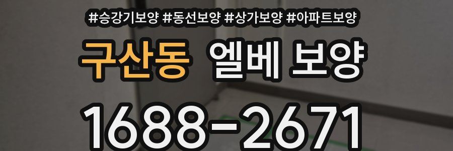 구산동 엘베 보양