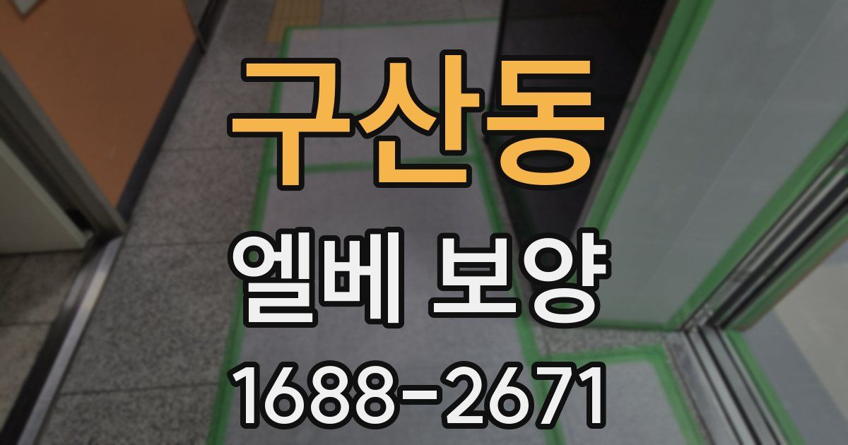 구산동 엘베 보양