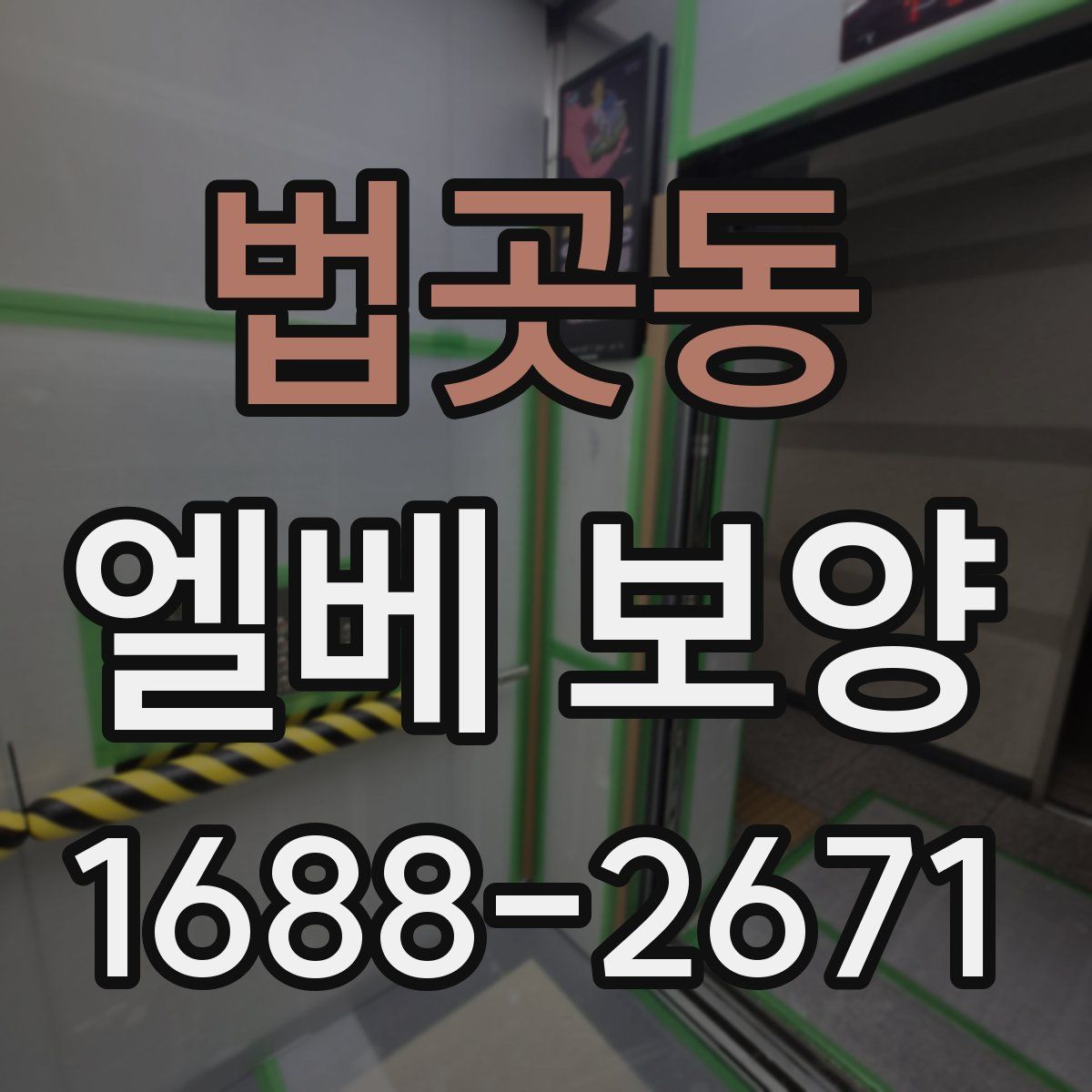 법곳동 엘베 보양