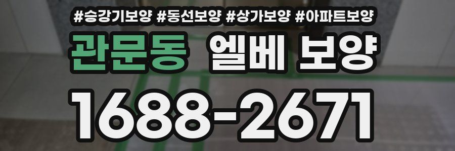 관문동 엘베 보양