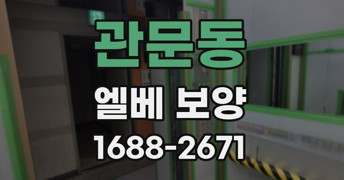 관문동 엘베 보양
