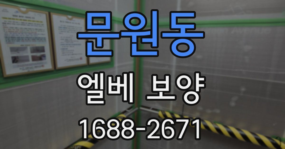 문원동 엘베 보양