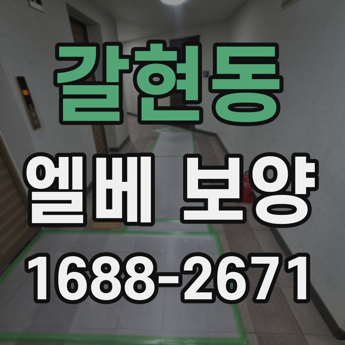 갈현동 엘베 보양 사진 기록으로 시공 상태를 설명하는 방법