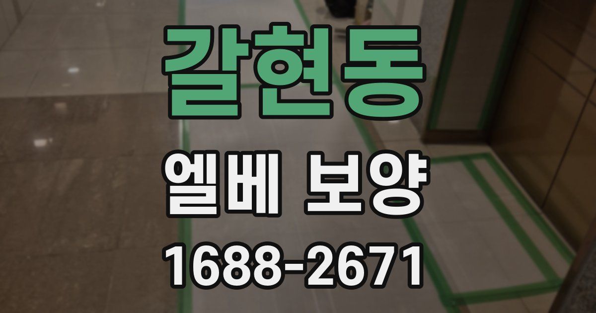 갈현동 엘베 보양