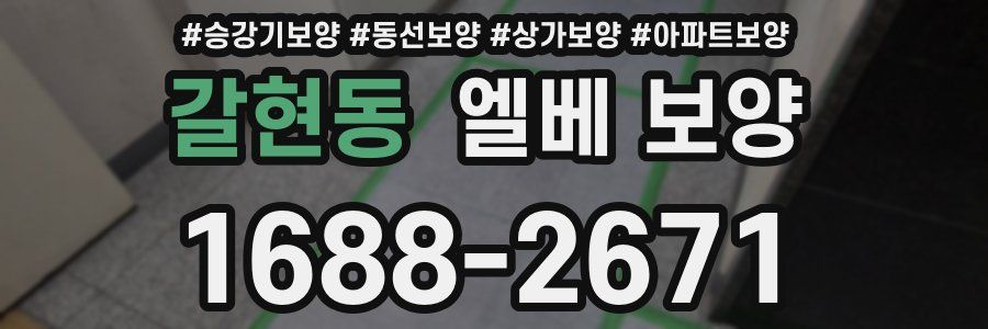 갈현동 엘베 보양
