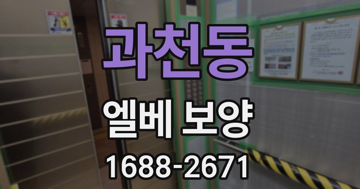 과천동 엘베 보양