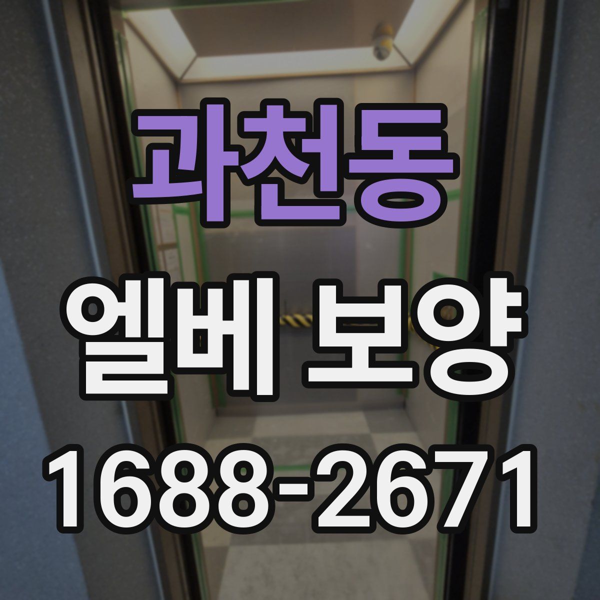 과천동 엘베 보양