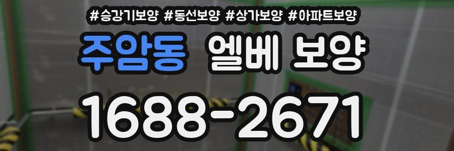 주암동 엘베 보양