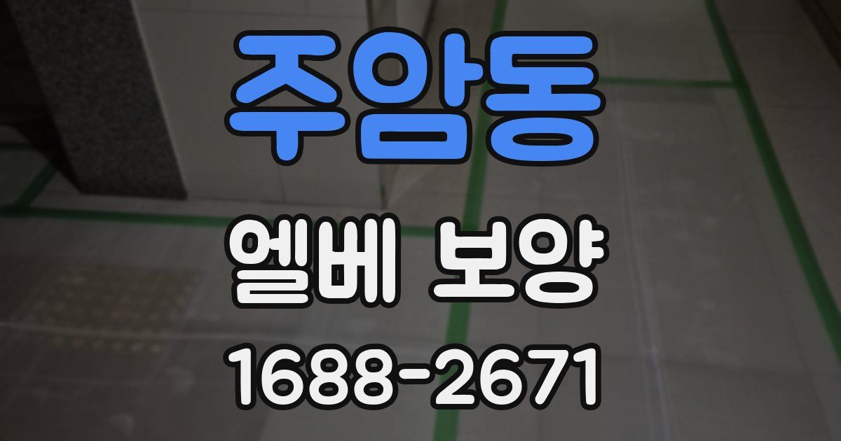 주암동 엘베 보양