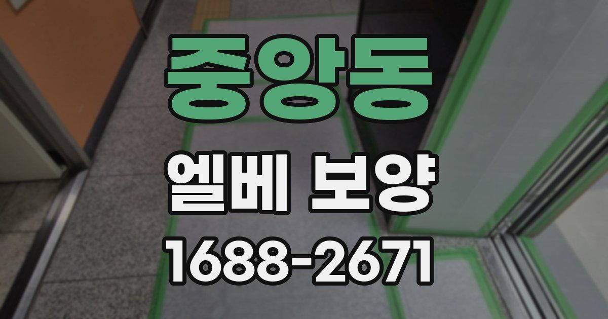 중앙동 엘베 보양