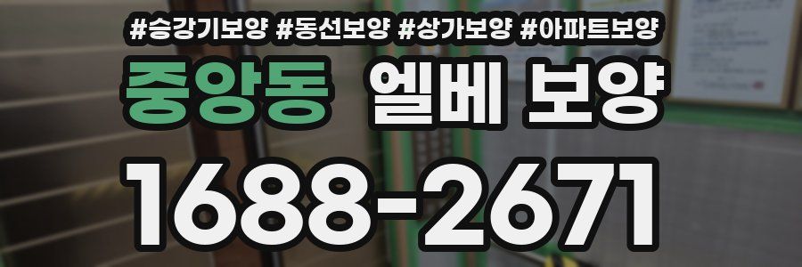 중앙동 엘베 보양