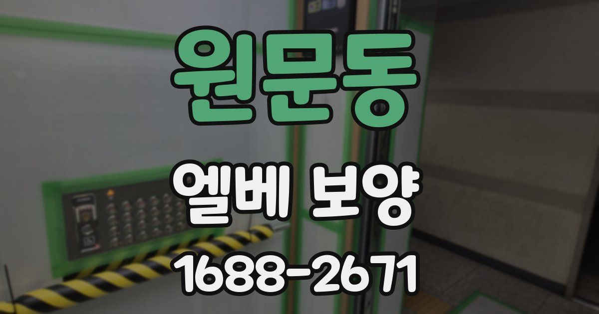 원문동 엘베 보양