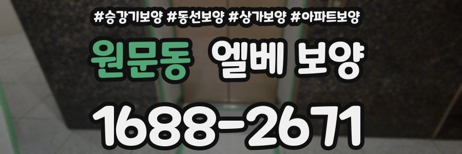 원문동 엘베 보양