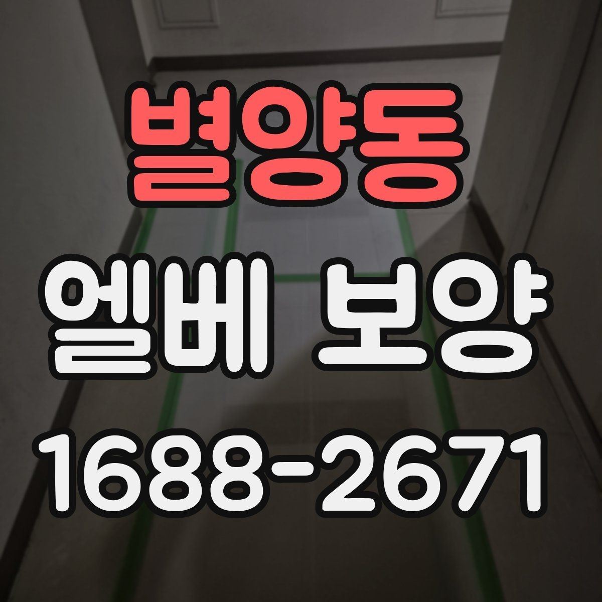 별양동 엘베 보양 시트 마감에서 자주 하는 실수와 예방법