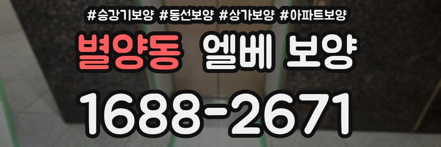 별양동 엘베 보양