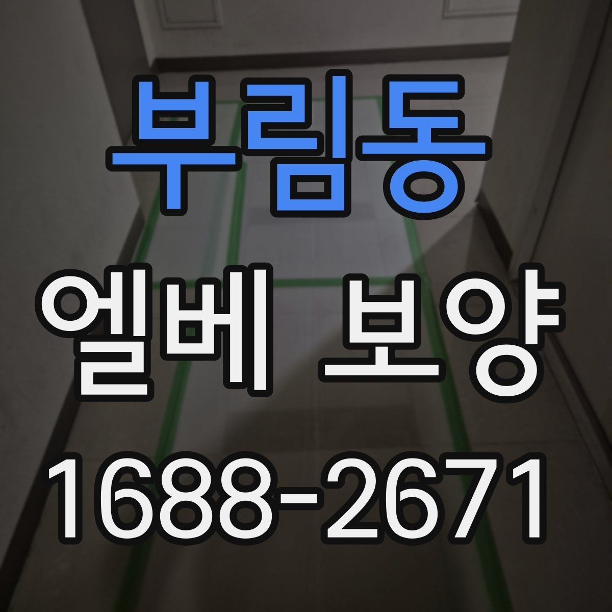 부림동 엘베 보양 보양 사진으로 남기는 이유