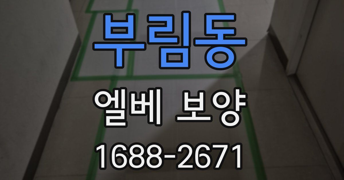 부림동 엘베 보양