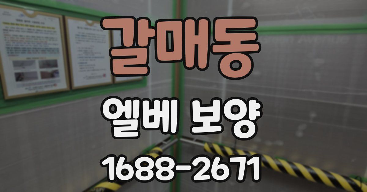 갈매동 엘베 보양