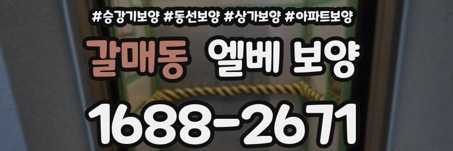 갈매동 엘베 보양