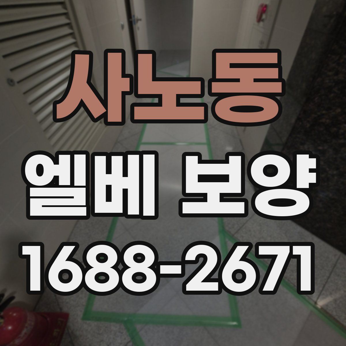 사노동 엘베 보양