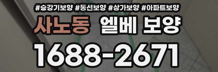 사노동 엘베 보양