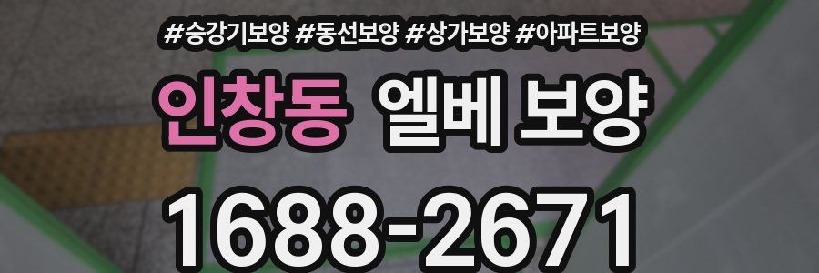 인창동 엘베 보양