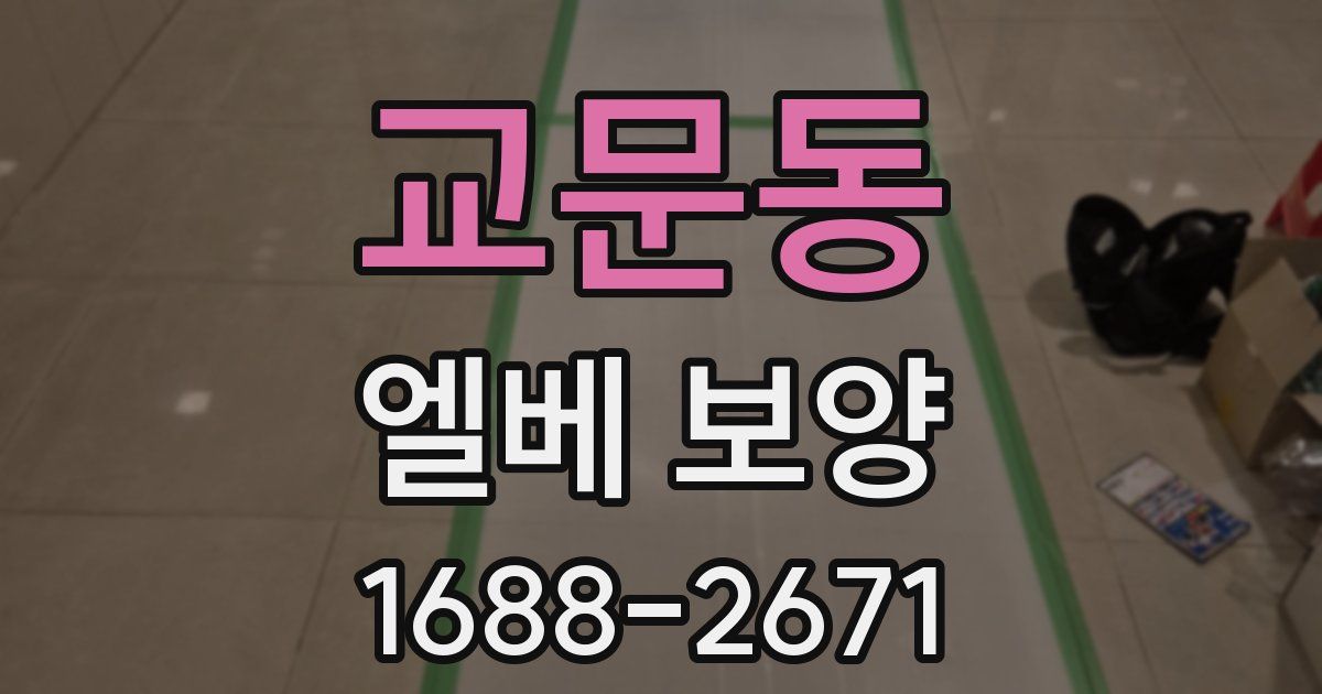 교문동 엘베 보양