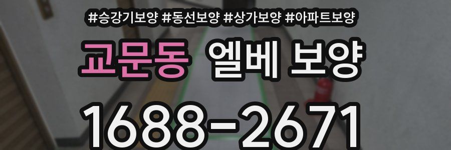교문동 엘베 보양