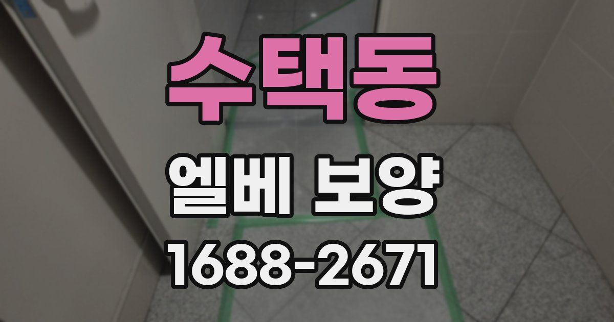 수택동 엘베 보양