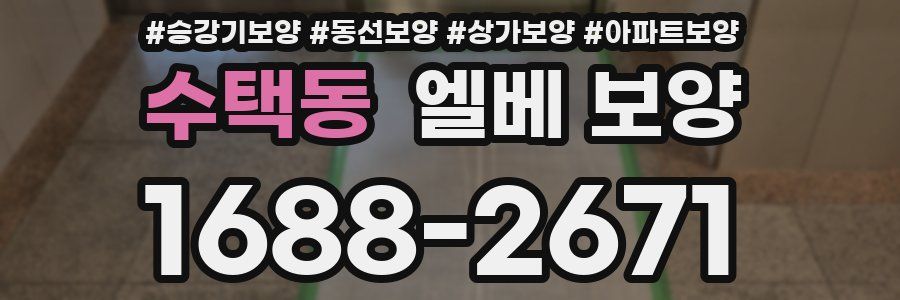 수택동 엘베 보양