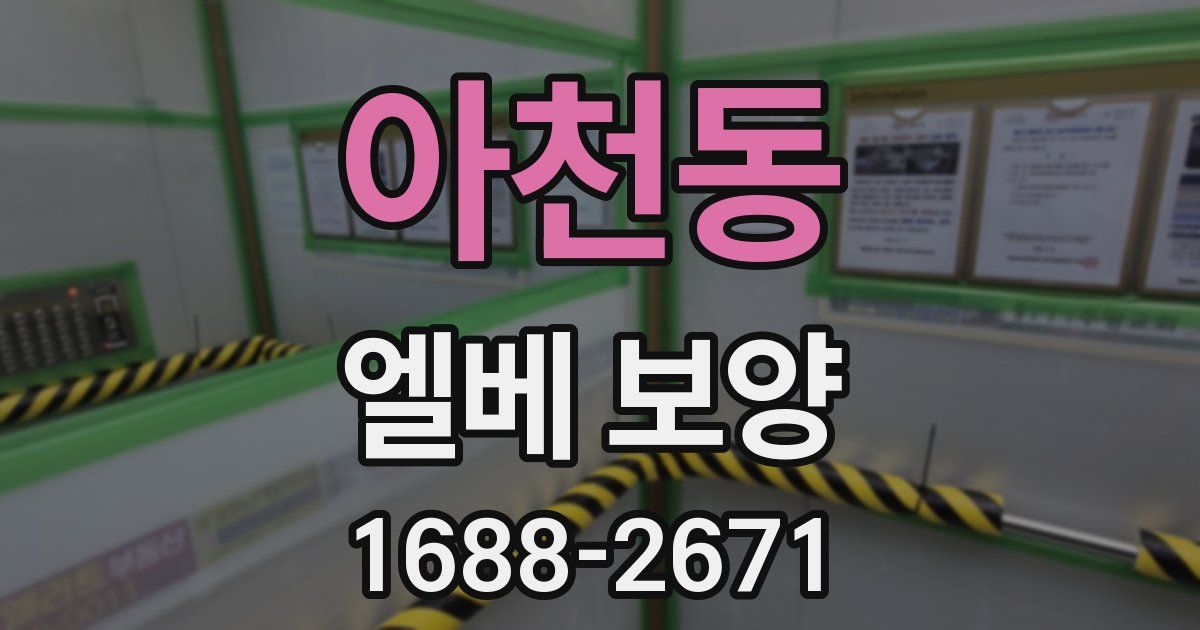 아천동 엘베 보양