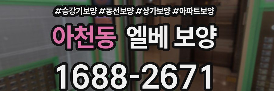 아천동 엘베 보양