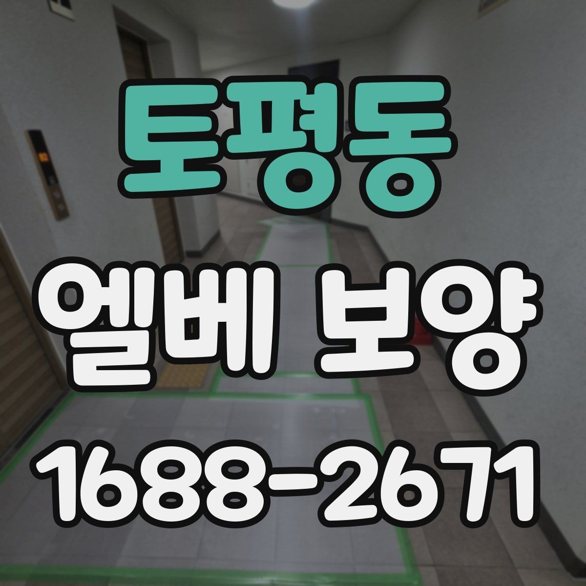 토평동 엘베 보양 보양 사진 기록이 필요한 이유