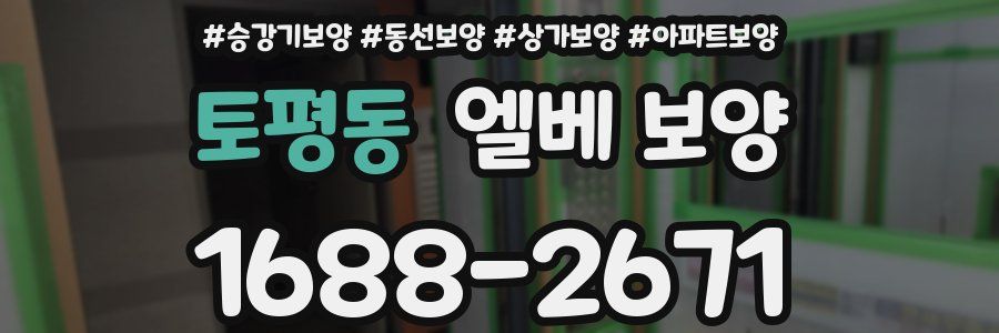 토평동 엘베 보양